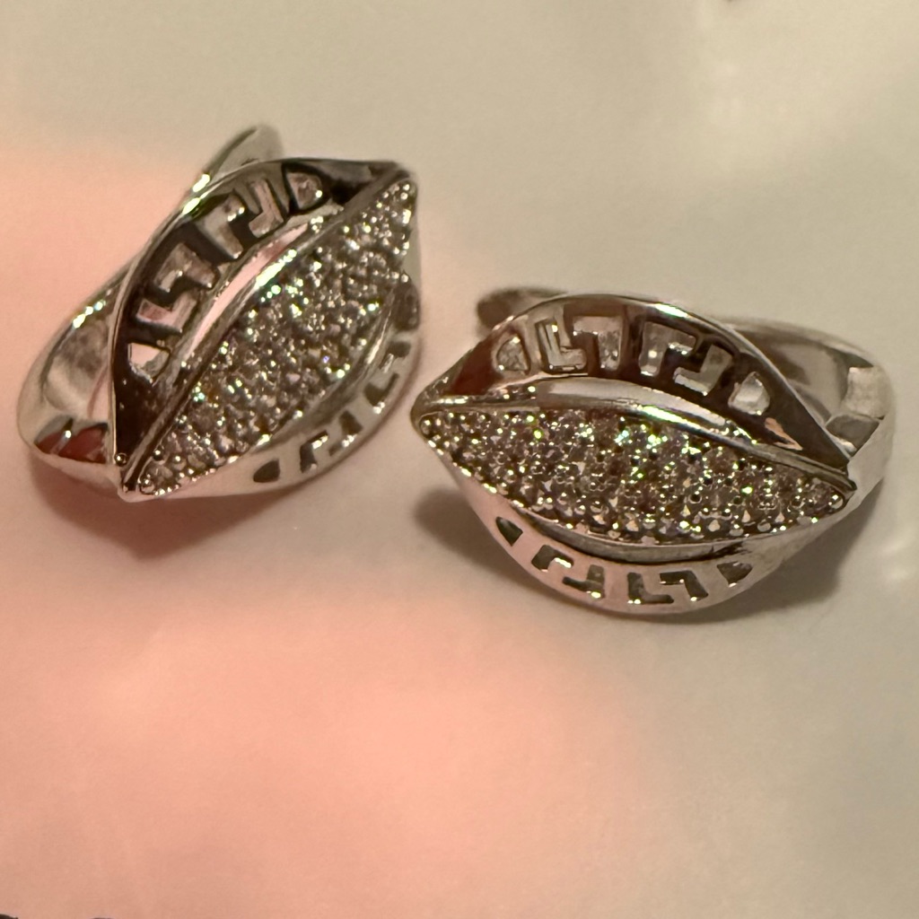 New Silver Hoop Earrings 15$